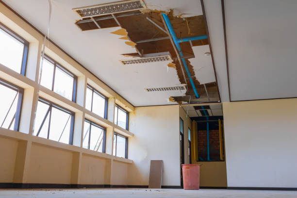 Best Sewage cleanup and water damage restoration  in Chesnut Hill, PA