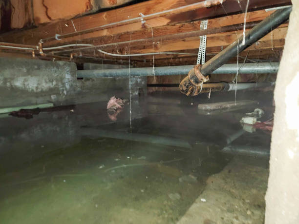 Best Water damage restoration near me  in Chesnut Hill, PA