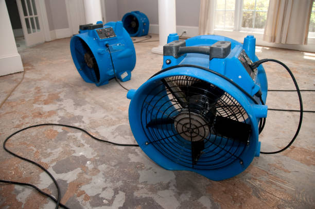 Best Commercial water damage restoration  in Chesnut Hill, PA