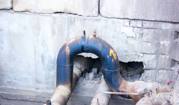 Best Mold removal after water damage  in Chesnut Hill, PA