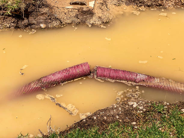Best Water damage restoration near me  in Chesnut Hill, PA